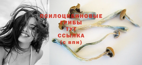 хмурый Алексин