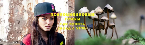 хмурый Алексин