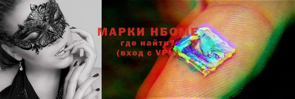 хмурый Алексин