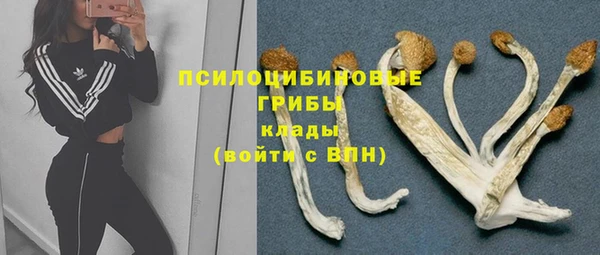 хмурый Алексин