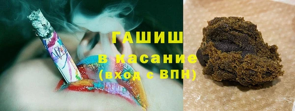хмурый Алексин