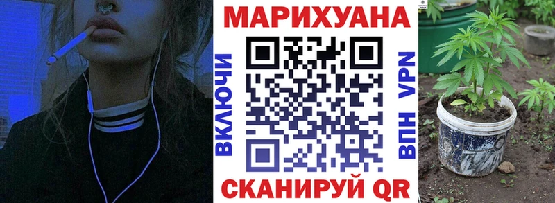 Конопля сатива  Миньяр 